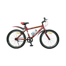 DSI 24" 1-SP TMO Mountain Bike (Red)