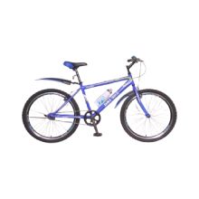 DSI 24" 1-SP TMO Mountain Bike (Blue)