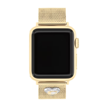 Caotch Gold Tone Stainless Steel Mesh Women's Apple Watch Strap
